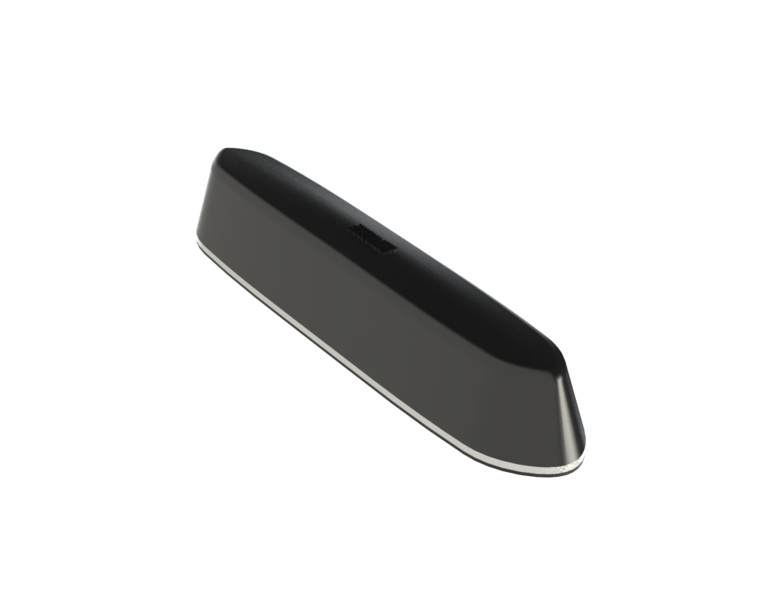 Australian Shepherd Antenna